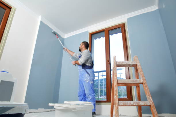 Mold Removal for HVAC Installations in Aurora, MO