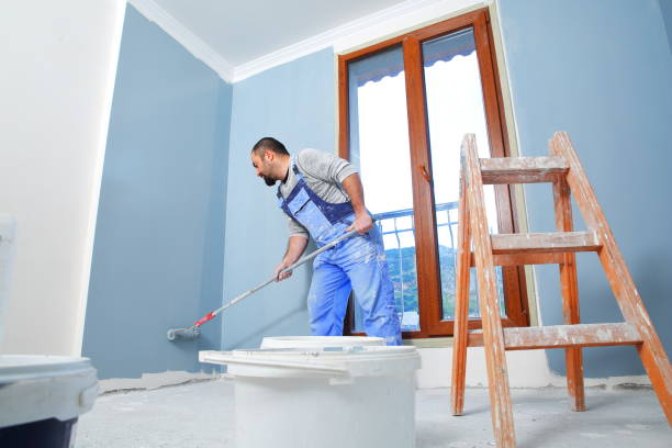 Best Comprehensive Air Testing for Mold Contaminants  in Aurora, MO