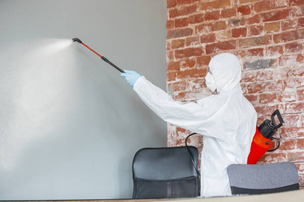 Best Forensic Mold Investigation  in Aurora, MO