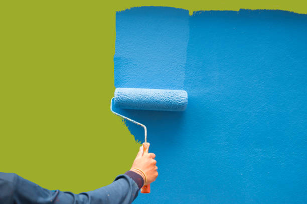 Best Mold Removal for HVAC Installations  in Aurora, MO